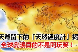 老天爺留下的「天然溫度計」揭示：全球變暖真的不是開玩笑！