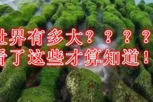 世界有多大？看了這些才算知道！