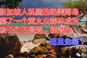 新加坡人私藏的絕美海島，藏了一個螢火蟲森林成為孩子們的最愛，能潛水、而且免簽！