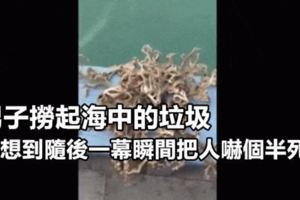 男子撈起海中的垃圾，沒想到隨後一幕瞬間把人嚇個半死！