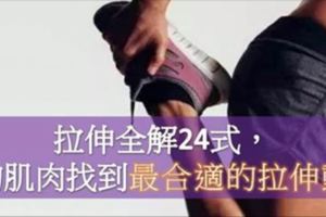 拉伸全解24式，為你的每一塊肌肉找到最合適的拉伸動作！