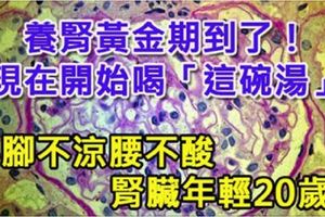 養腎黃金期到了！現在開始喝「這碗湯」，手腳不涼腰不酸，腎臟年輕20歲！