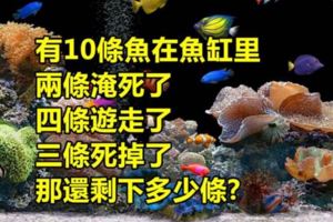 據說有99.9%的人都回答不出這道題目...你敢嘗試嗎?