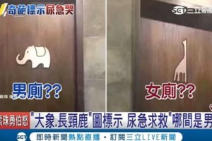 大象和長頸鹿哪間是男廁？他尿急奔廁所「選到快閃尿」還選不出來　闖進去後他瞬間笑了