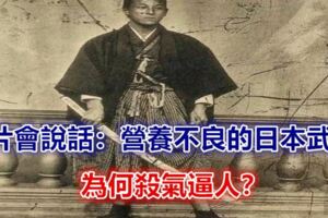 照片會說話：營養不良的日本武士，為何殺氣逼人？