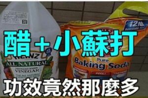 當「醋」遇見「小蘇打」的竟有意想不到用途，家居必備，收藏吧