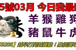 05號03月，今日我最旺！羊猴雞狗豬鼠牛虎！【59288】越早打開越靈驗！點個贊吧！