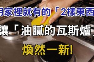 5個居家清潔小知識，用家裡就有的「2樣東西」，讓「油膩的瓦斯爐」煥然一新!