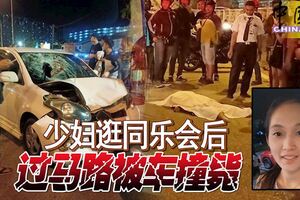 少婦逛同樂會後過馬路被車撞斃