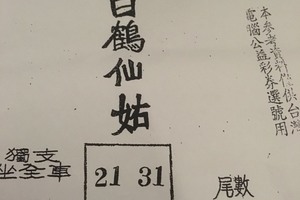 2月11號~香港參考~白鶴仙姑