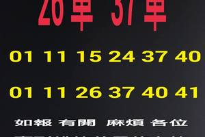 4/17六合彩參考看看