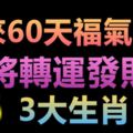 未來60天福氣備至，即將轉運發財的3大生肖