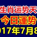 十二生肖運勢天天看，今日運勢：7月8日