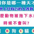 世上只有2%的人答對！測你是哪一種天才 