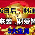 7月16日後，財運大開，桃花來襲，財愛皆可收的3大生肖！