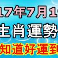 2017年7月19號生肖運勢！早知道好運到！