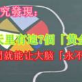 最新研究發現：大腦1天裡有這7個「黃金時段」，抓緊時間就能讓大腦「永不生鏽」！