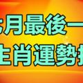 七月最後一周致12生肖運勢提示