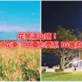 花開滿山頭！盤點2017花東「仲夏忘憂系IG最夯景點」：月光下的海洋音樂會徹底療癒身心靈