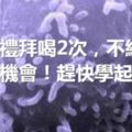 每個禮拜喝2次，不給癌-症留機會！趕快學起來