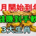 從8月開始到年底，賺錢賺到手軟的3大生肖！