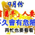 9月份生肖屬牛人要「當心」！不久會有危險！再忙也要看看