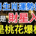 11月生肖運勢排行，看你是財星入命，還是桃花爆棚？