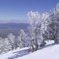 美國滑雪度假正熱門性價比最高時段在1月