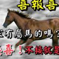 喜報喜報！你家有屬馬的嗎？來接喜！不接就是傻子