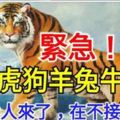 緊急！3月，屬【虎狗羊兔牛】的人，你的貴人來了，在不接就沒了！