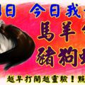 4月4日，今日我最旺！馬羊牛鼠豬狗蛇虎！【66688】越早打開越靈驗！點個贊吧！