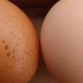 這種雞蛋不要買,更不要吃,記得告訴家裡人