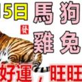 6月15日生肖運【馬、狗、豬大吉】【雞、兔、虎旺旺旺】