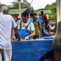 「老闆你這魚有鮮哦～」　海獅上岸到魚攤「自己選肉」當大餐