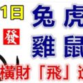 8月11日生肖運勢_兔、虎、羊大吉