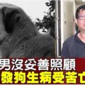 疏忽照顧造成狗生病受苦亡　無業男罰400令吉