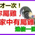 如果你不屬雞，你最愛的人屬雞，或家中有屬雞，44年才一次！迷信一回吧！