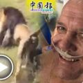 男子聞到怪味進柵欄檢查-遭發狂獅子咬住拖走