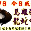 9月7日，今日我最旺！馬雞豬羊龍蛇牛狗！【33688】越早打開越靈驗！點個讚吧！