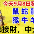 今天9月8日發財日！鼠、蛇、龍、猴、牛、羊，快來接財，中大獎