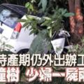 待產期仍外出辦工車撞樹少婦一屍兩命