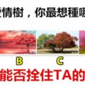 4棵愛情樹，你最想種哪棵？測你能否拴住TA的心？