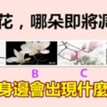 4朵玉蘭花，哪朵即將凋零？測你身邊會出現什麼問題