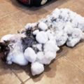 貓咪-13度偷溜出門凍成雪糰　獸醫解凍還原「蓬毛美貓」變超乖