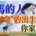 十馬九貴，屬馬的人「最好命」的出生月份