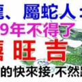 屬龍、屬蛇人：2019年是上上等運勢！家裡有這兩個生肖的快來接吧，不然就跑掉了！