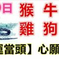 3月9日生肖運勢_猴、牛、龍大吉