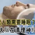 為什麼人類需要睡眠？因為大腦在清理神經垃圾