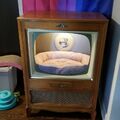 動手玩創意！爸用舊型電視「做貓床」　成品融化五十萬人