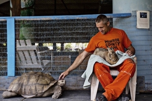 這間監獄竟然將「被虐待遺棄的動物們」交給監獄裡的重刑犯照顧，沒想到兩個月後囚犯跟動物們竟然...太震驚了！